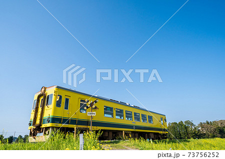 「千葉県」いすみ鉄道　踏切と菜の花 73756252