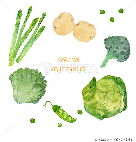 春野菜の水彩イラストセットのイラスト素材