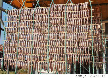 シシャモすだれ（北海道むかわ町） 73758017