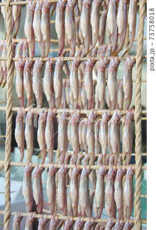 シシャモすだれ(北海道むかわ町) シシャモすだれ(北海道むかわ町) 73758018