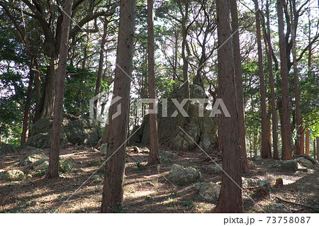 パワースポットで有名な天白磐座遺跡　渭伊神社 73758087