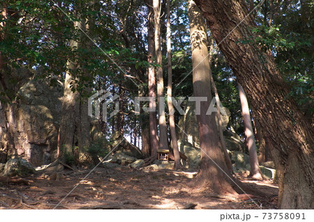 パワースポットで有名な天白磐座遺跡　渭伊神社 73758091