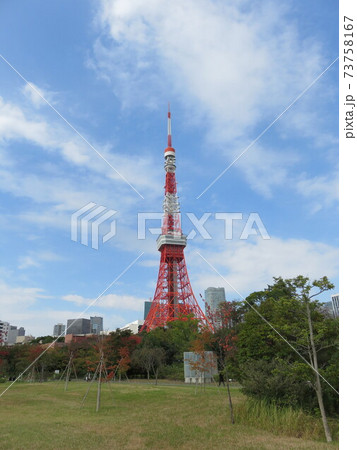 芝公園から見える東京タワー 73758167
