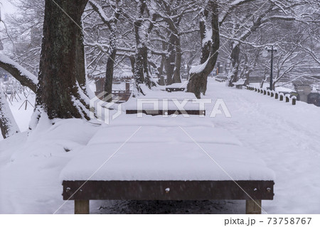雪景色 木 冬 73758767