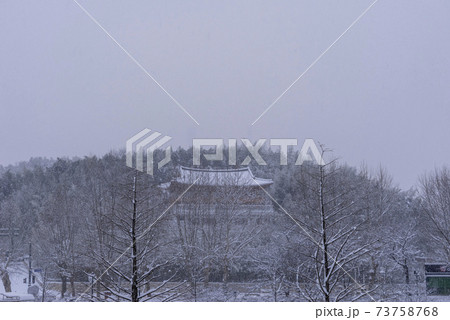 雪景色 木 冬 73758768