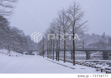 雪景色 木 冬 73758777
