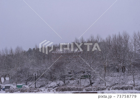 雪景色 木 冬 73758779