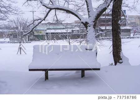 雪景色 木 冬 73758786