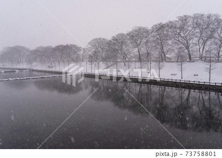 雪景色 冬 屋外 73758801