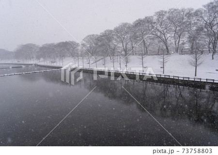 雪景色 木 冬 73758803