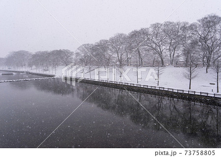 雪景色 木 冬 73758805