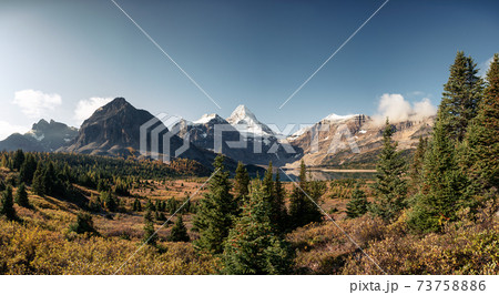 Scenery of Mount Assiniboine with Lake Magog in autumn forest at provincial park 73758886