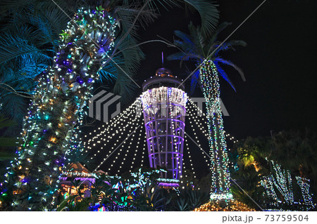 江の島の夜景　江の島シーキャンドル　展望灯台 73759504