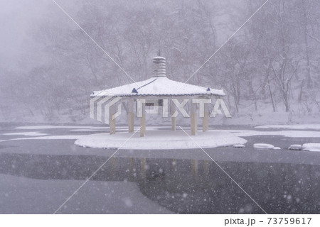 木 冬 季節 73759617