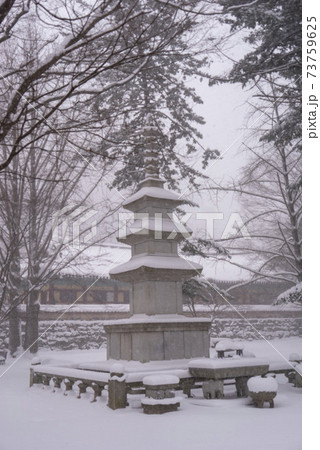 季節 木 屋外 73759625