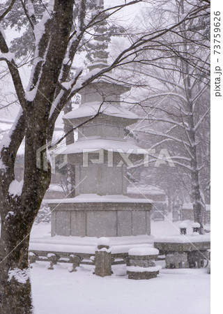 木 冬 季節 73759626