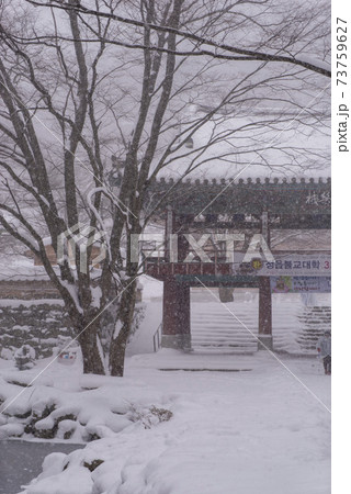 木 冬 季節 73759627