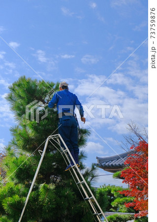 奈良の古寺での剪定作業 73759876