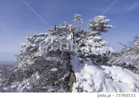 冬 山 雪景色 73760533