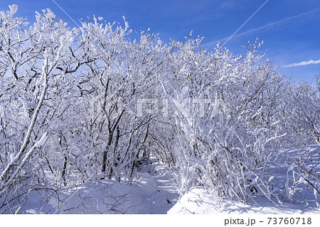 冬 山 雪景色 73760718