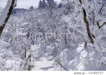 冬 山 雪景色 73760757