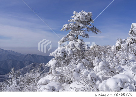 冬 山 雪景色 73760776