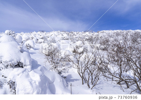 冬 山 雪景色 73760936