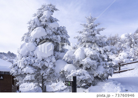 冬 山 雪景色 73760946