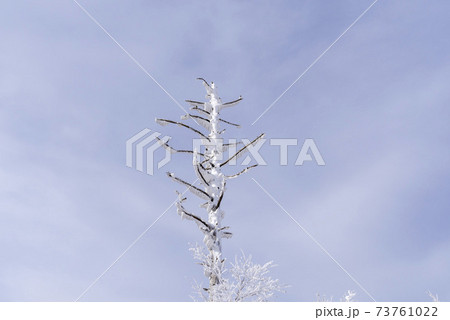 空 雪景色 スポット 73761022