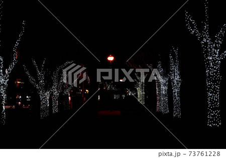 諏訪湖イルミネーション 73761228