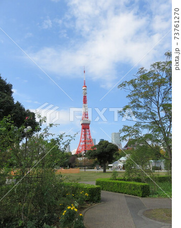 芝公園から見える東京タワー 73761270