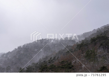 湖 森 霧 73761295