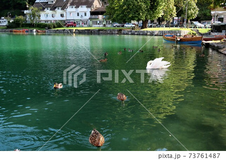 スロヴェニアのブレッド湖 73761487