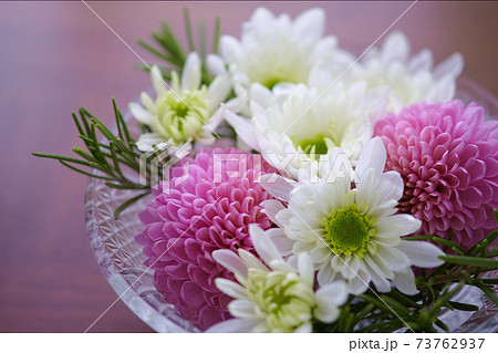 アレンジメント アレンジメント 73762937