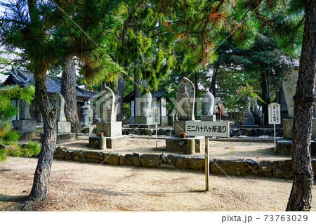 ミニ四国八十八箇所　四国霊場第80番札所　讃岐国分寺（國分寺） 73763029