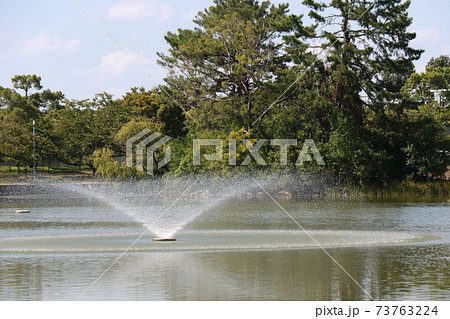 大阪市旭区の城北公園 73763224