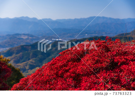 （埼玉県）紅葉期の長瀞・宝登山　山頂の景色 73763323