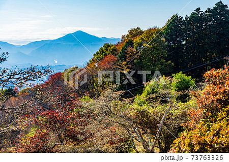 （埼玉県）紅葉期の長瀞・宝登山　山頂から武甲山を望む 73763326
