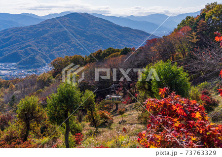 （埼玉県）紅葉期の長瀞・宝登山 73763329
