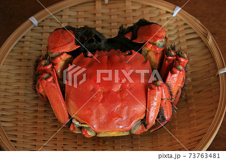 モクズガニのみそ汁は、カニが旨いが味噌汁がまた旨い モクズガニのみそ汁は、カニが旨いが味噌汁がまた旨い 73763481