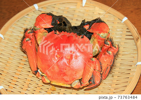 茹でたモクズガニ。殻を割って身を取り出し、蟹飯にしても旨い 73763484