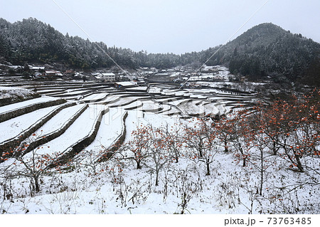 広島県安芸太田町 井仁の棚田 雪景色 73763485