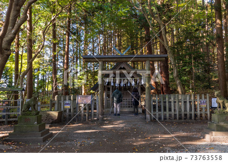(埼玉県)寳登山神社奥宮 参拝者 (埼玉県)寳登山神社奥宮 参拝者 73763558