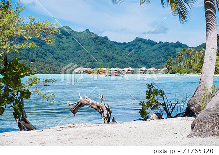 【タヒチ/タハア島】水上コテージのある景色 【タヒチ/タハア島】水上コテージのある景色 73765320