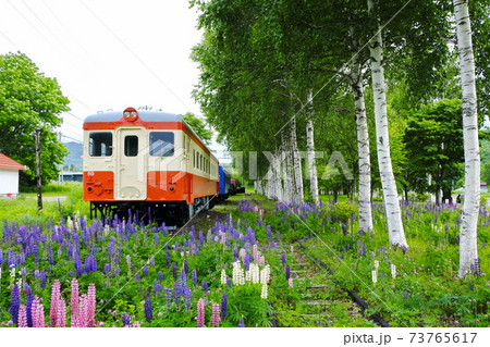 相生鉄道公園のキハ22形気動車 相生鉄道公園のキハ22形気動車 73765617