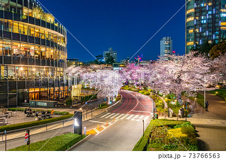 東京ミッドタウンの夜景(桜) 東京ミッドタウンの夜景(桜) 73766563
