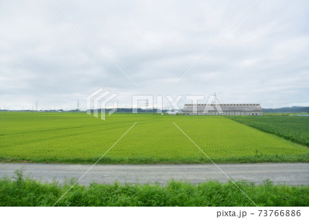 石巻駅から前谷地駅までの石巻車窓からの風景 73766886