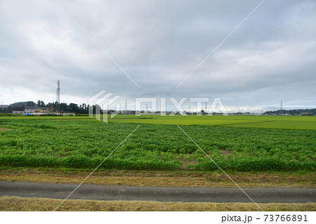 JR東日本石巻線、石巻駅から前谷地駅までの風景 73766891