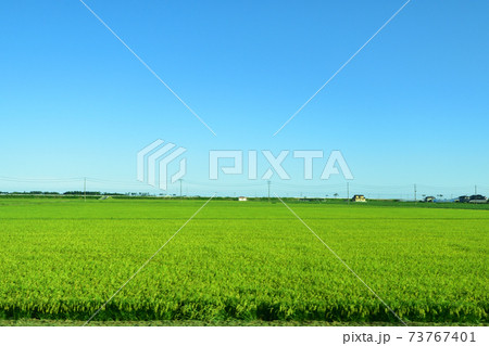 松島海岸駅から石巻駅までの仙石線/仙石東北ライン車窓からの風景 松島海岸駅から石巻駅までの仙石線/仙石東北ライン車窓からの風景 73767401