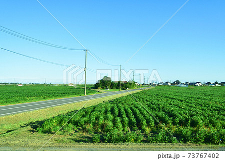 松島海岸駅から石巻駅までの仙石線/仙石東北ライン車窓からの風景 73767402